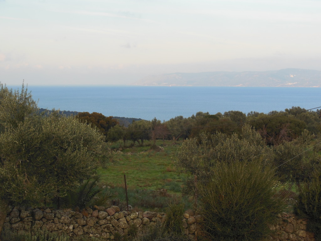 The view from our camp during the daytime. You can see Turkey in the distance. 